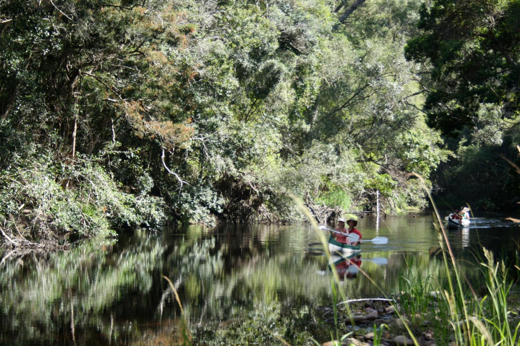 Natures Valley Bnb เนเจอร์สแวลลีย์ ภายนอก รูปภาพ